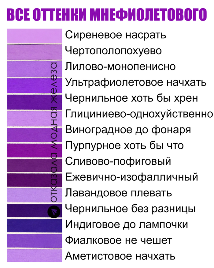 Все оттенки мнефиолетового
