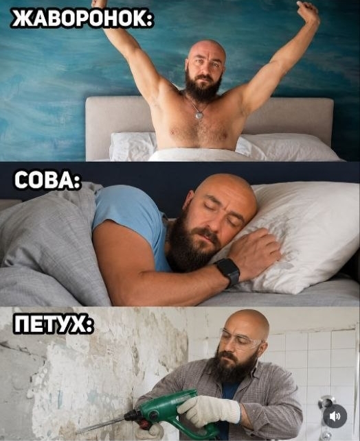 Типы людей по утрам