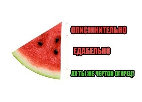 Арбузье время