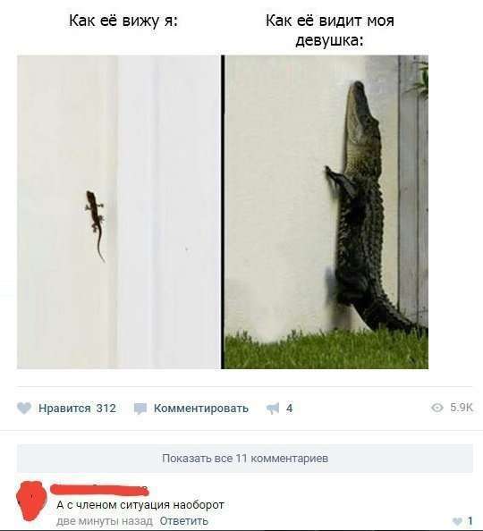 �� ��)