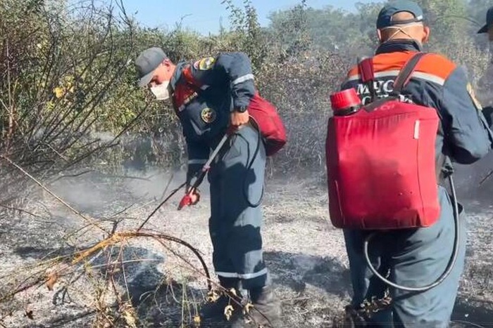 Пожарные в Крыму спасли село от надвигающегося пожара