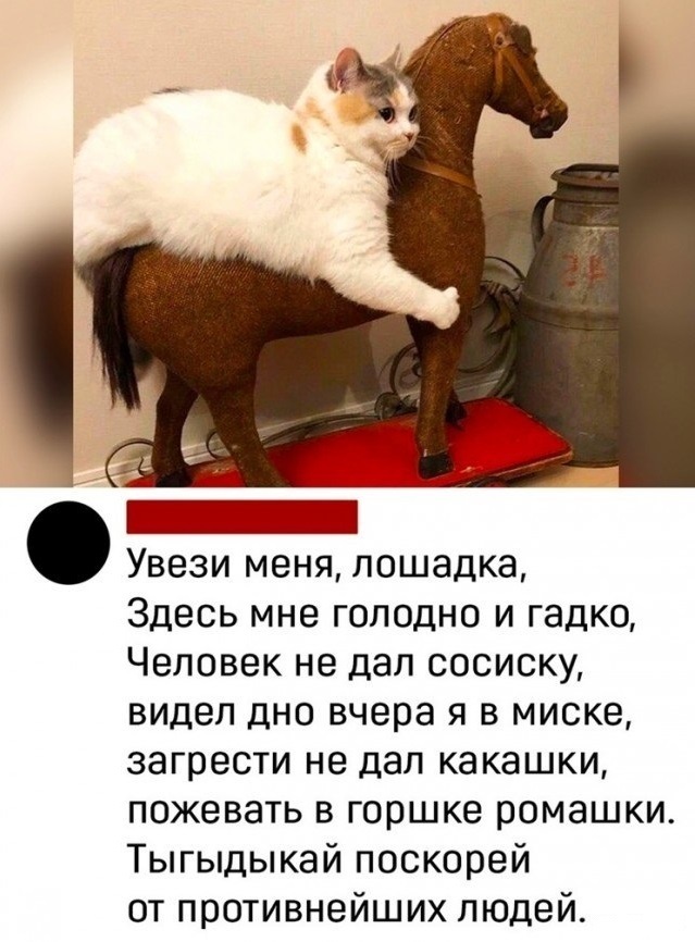 Немного поэзии...