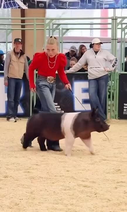 ������������
