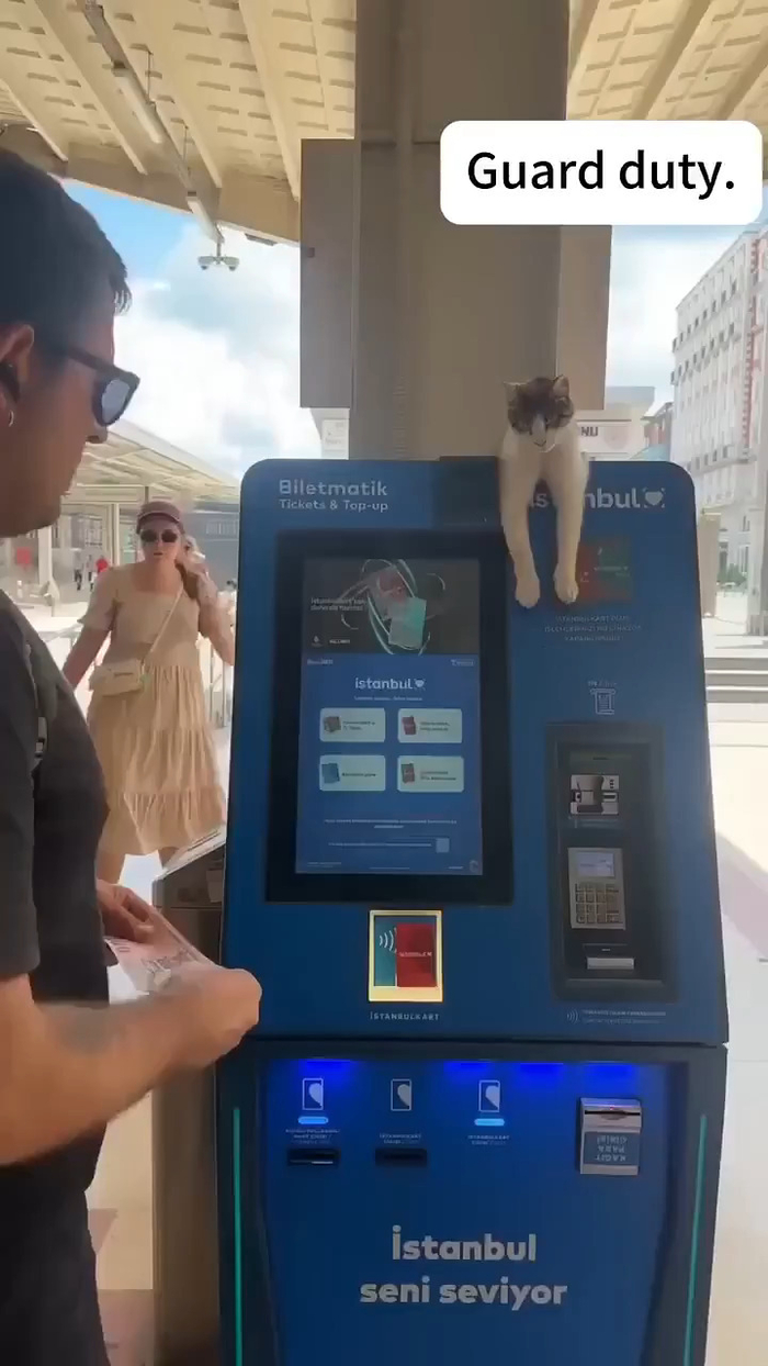 ������� ������ �������