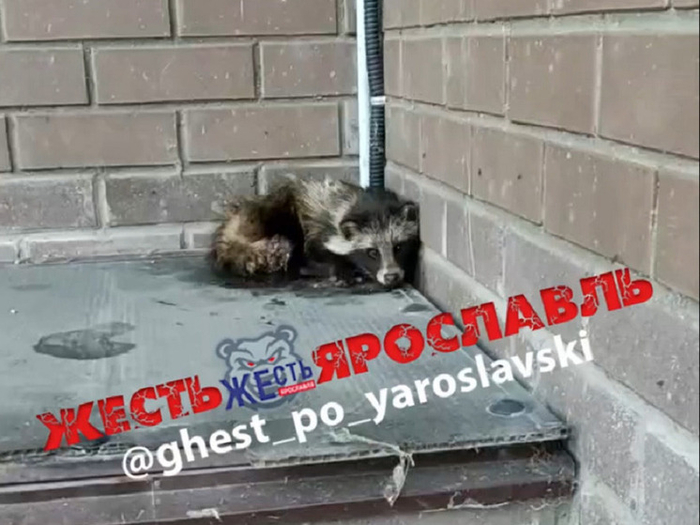 � ��������� ������ ����������� ������, ��������� �� ����� ��