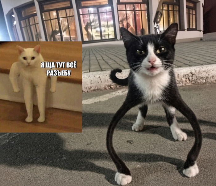 ������� � ���� �������� ����