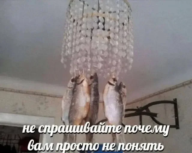 3nmreq7z.webp