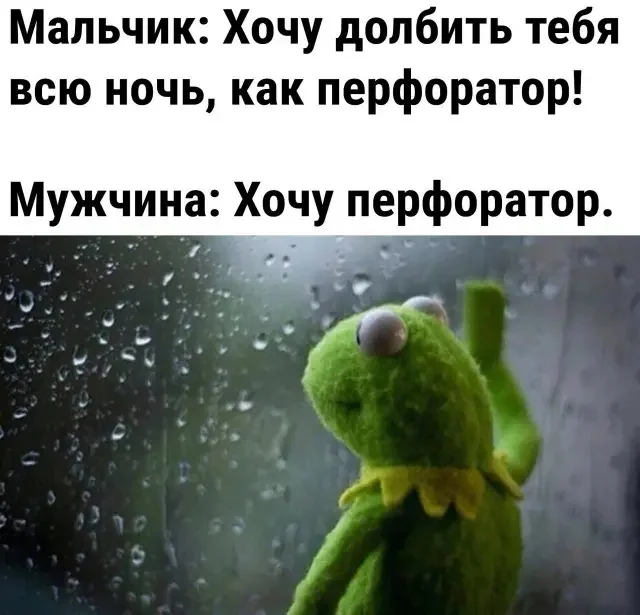 vfqrfxg5.webp