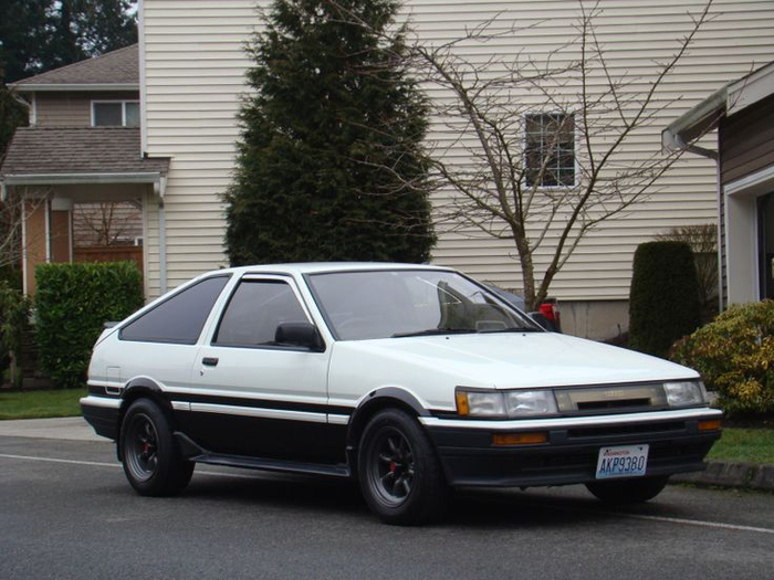 Levin