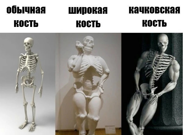 Толстею от одного взгляда на булку. Разносим миф о медленном метаболизме