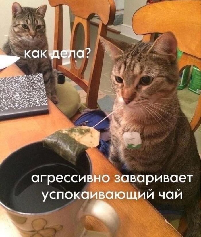 ��� ����������� ��������������