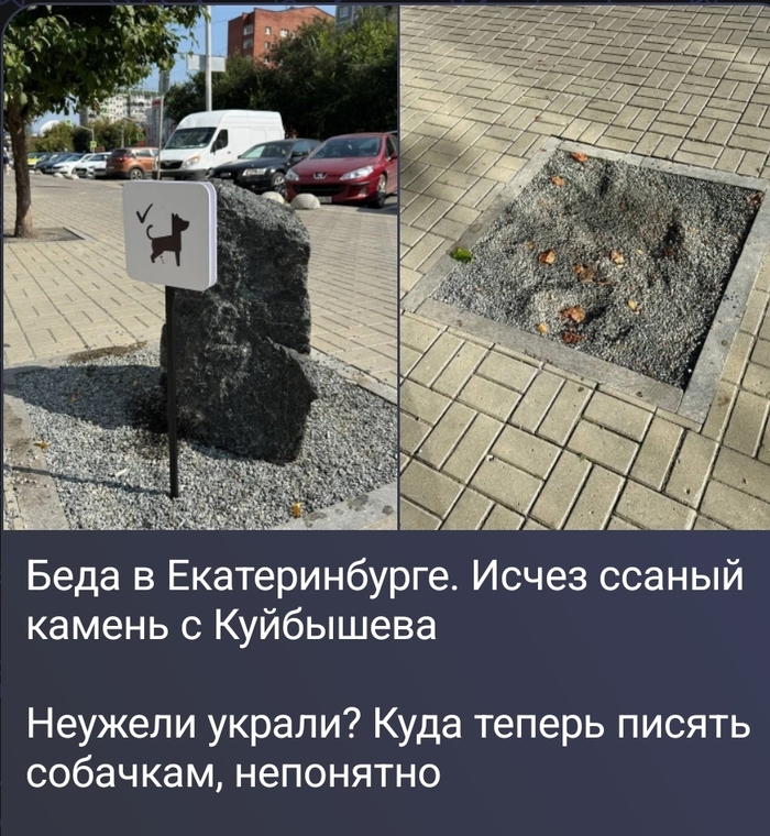 ���� �������������