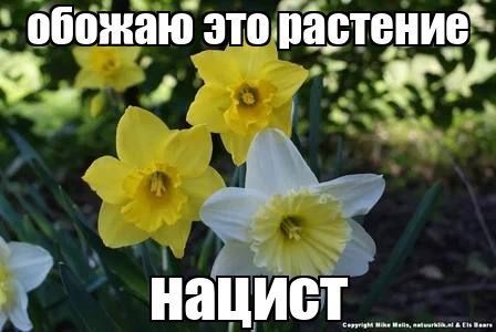 Тавтограмма:
