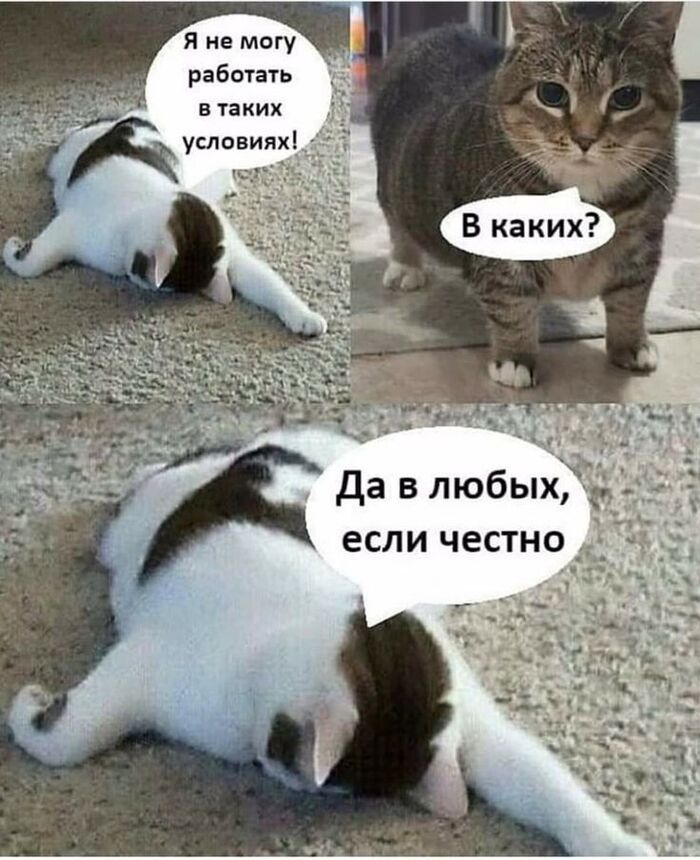 Я в первый день на работе