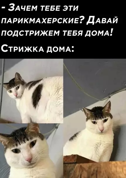 ���