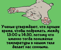 ��������� �����