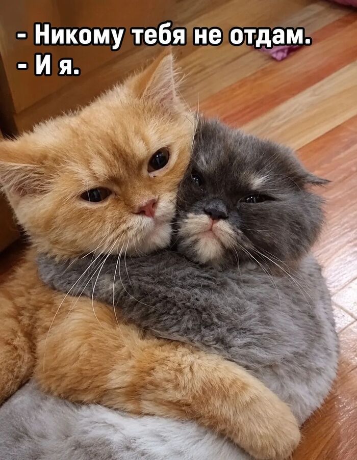 ������!!!