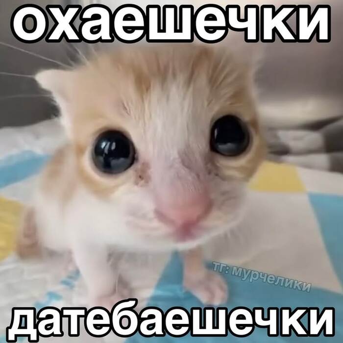 ����