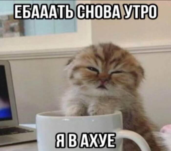 ������ �������)