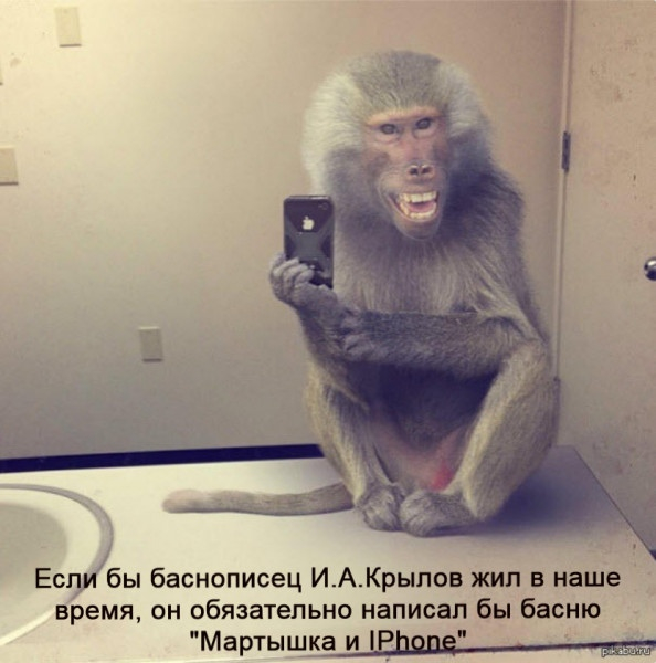 ������ � ������� ����� "�������� � IPHONE"