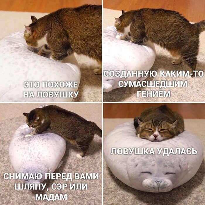 #��02