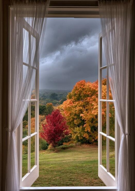 ������� ���������. ������� �1: ������� ������ � ������, � �� � � ����?