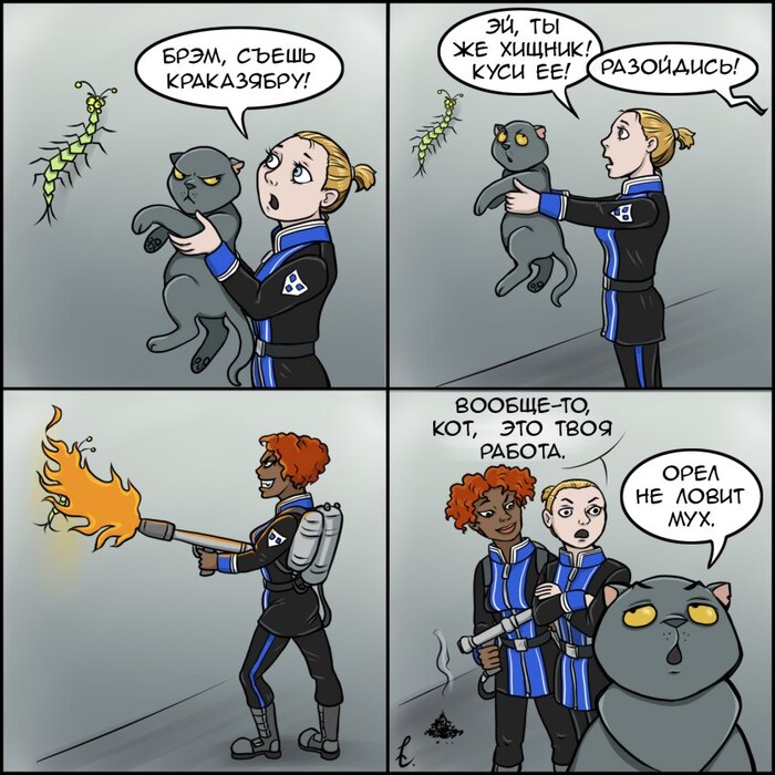 ���� - ����������� ���, �37: ������ �� �������������