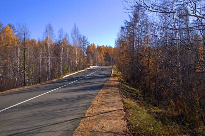 Осенняя дорога