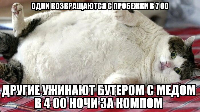 ������ �������� ������� ( ����, �������, ������ )