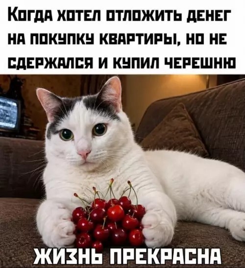 ���������� �����