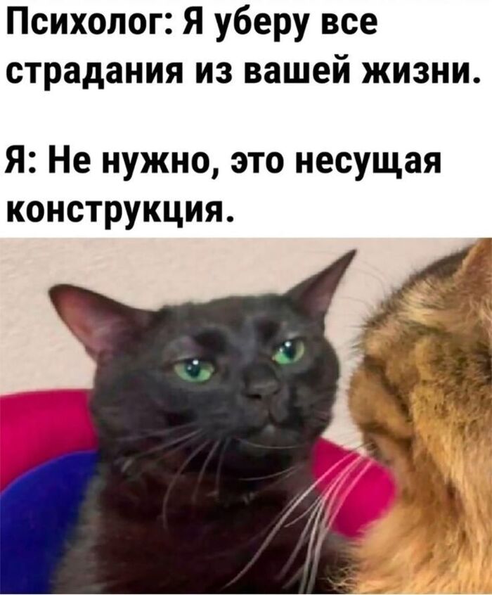 ������ �����