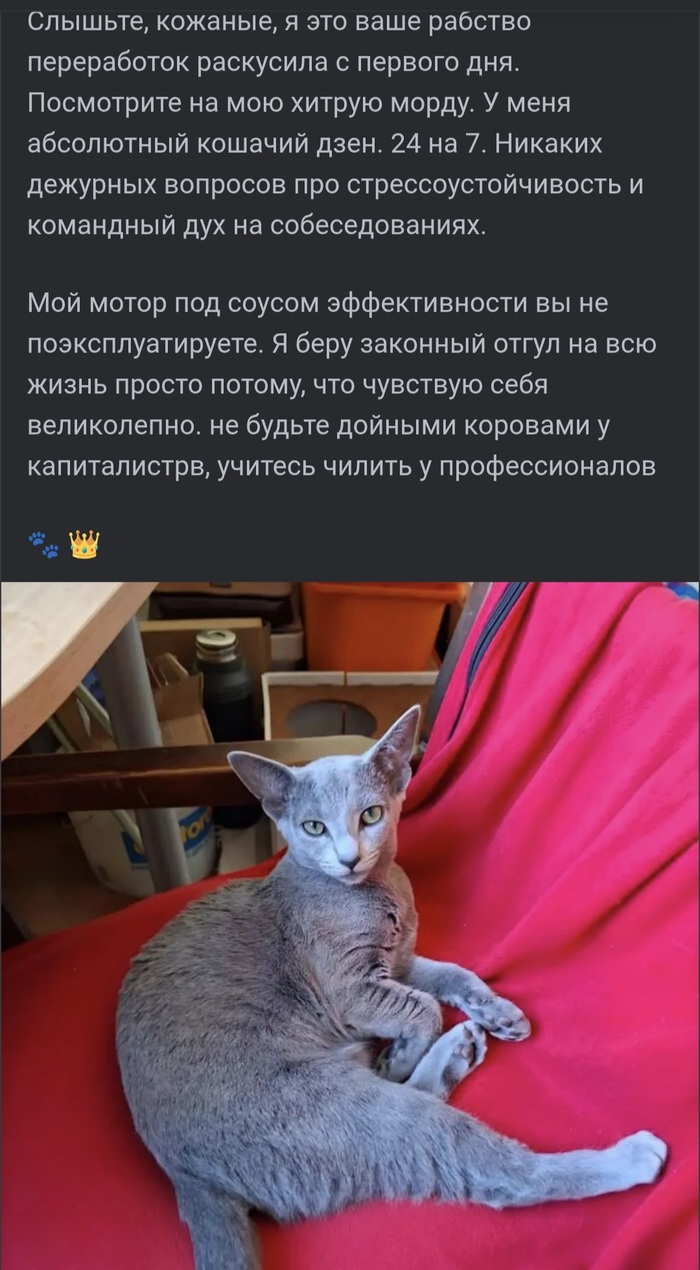 ����� �� ���� ���������...�