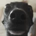 CharismaRulez