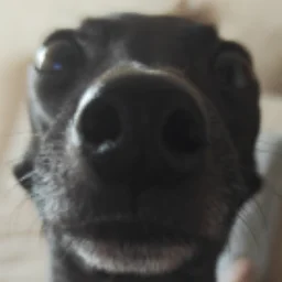 CharismaRulez