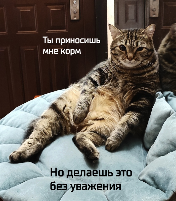 Дон Котлеоне