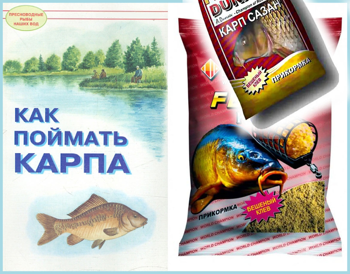 При этом в магазине он есть. Часто – живой. Крупная красивая рыба. Не пугливая: хоть руками бери. Прямо как домашняя курица, хоть аналогия эта сперва кажется не очевидной.