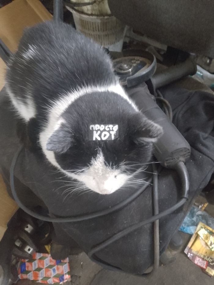 Кто?