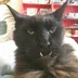 Mr.Soeasy