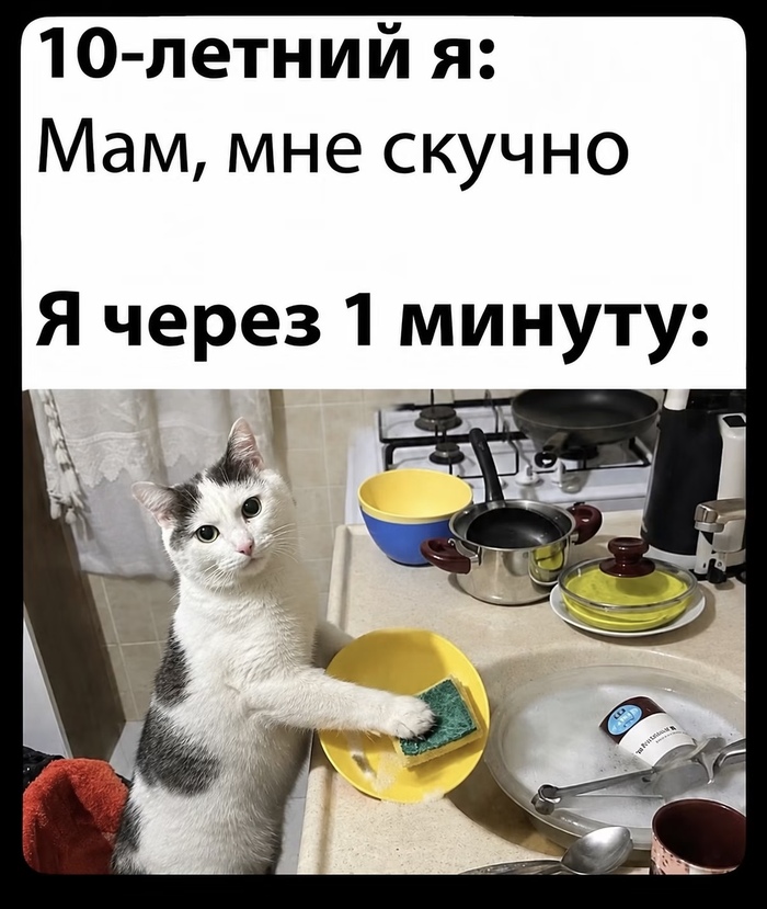���, ��� ������