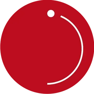 Логотип школы Digital Skills Academy
