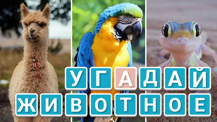 Угадай животное