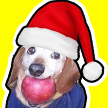 Заходи сюда в Новый Год на Пикабу Игры