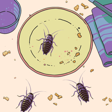 Save the Cake на Пикабу Игры