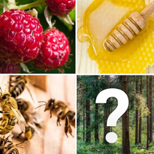 4 картинки 1 слово на Пикабу Игры