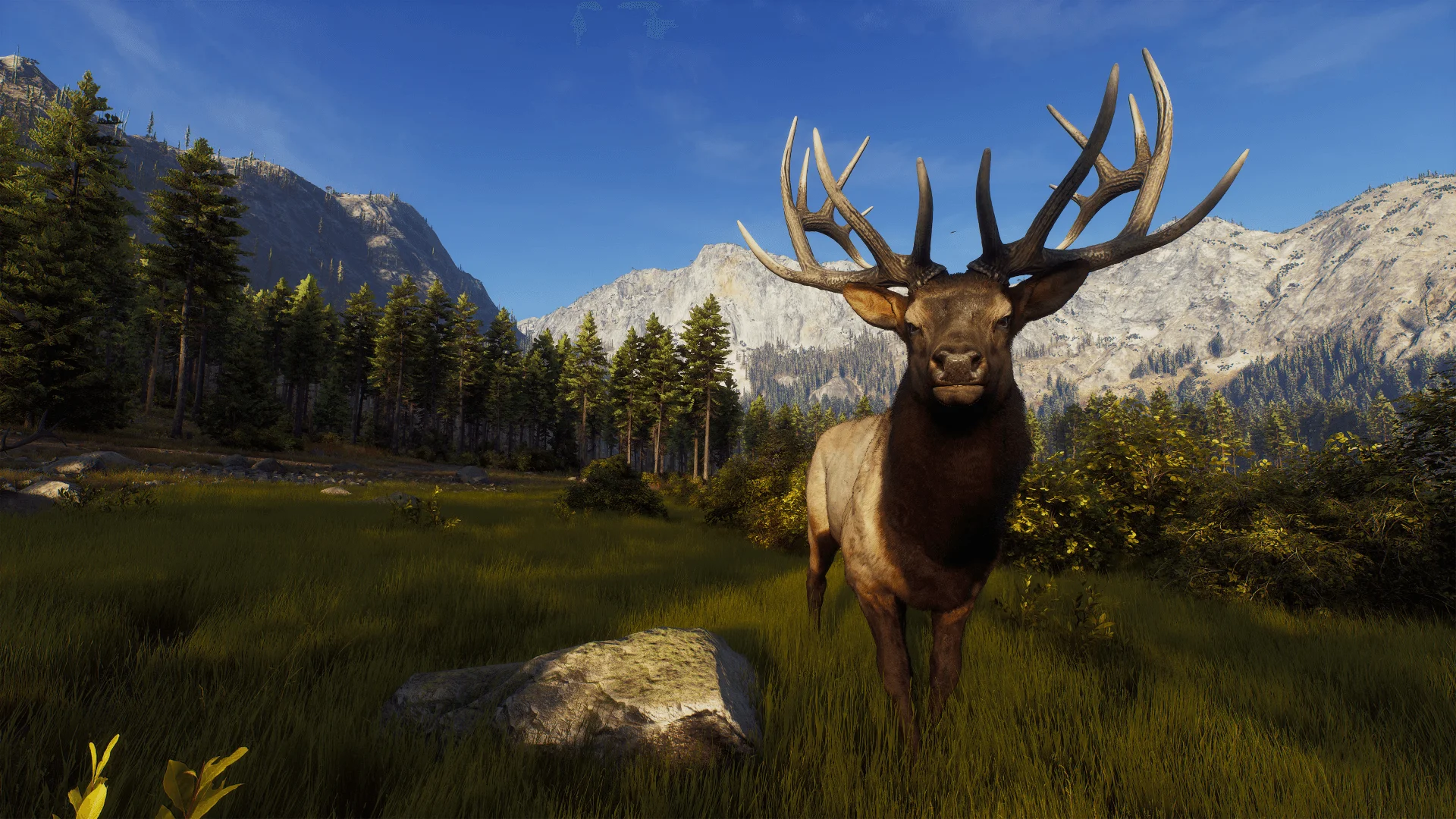 Way of the Hunter – Official Game Site