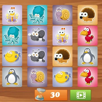 «Найдите одинаковые пары» – бесплатная, яркая и увлекательная детская игра, которая поможет развить внимание и память малышей. В игре представлены разнообразные картинки, задача игрока – найти парные изображения, соединяя их в пары.