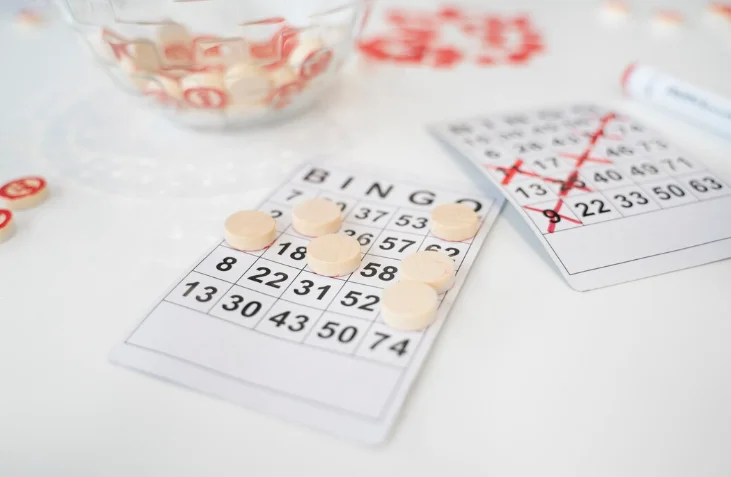 Как участвовать в новогоднем тираже «Столото» — пошаговая инструкция