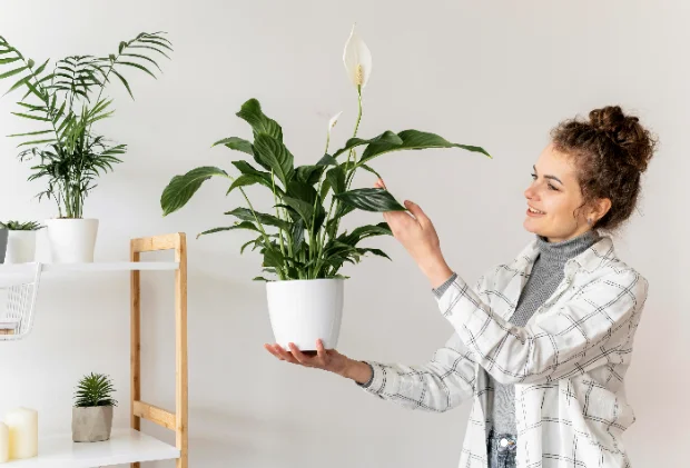 Подарки для дома